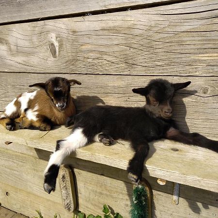 Bed and Breakfast A La Campagne, Au Calme Monterolier Exterior foto