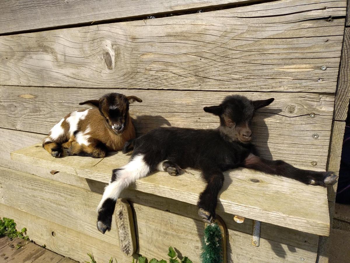 Bed and Breakfast A La Campagne, Au Calme Monterolier Exterior foto
